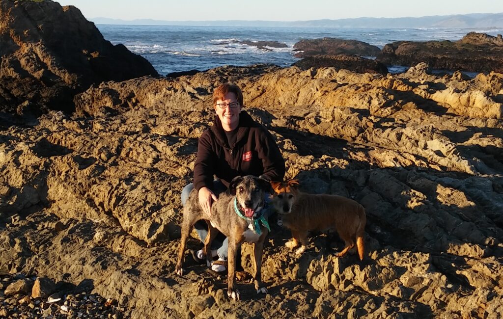 Brigid with two dogs at the Coast