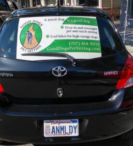 car with pet sitting sign on window