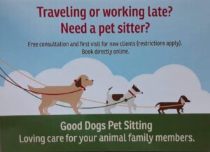 pet sitting mailer